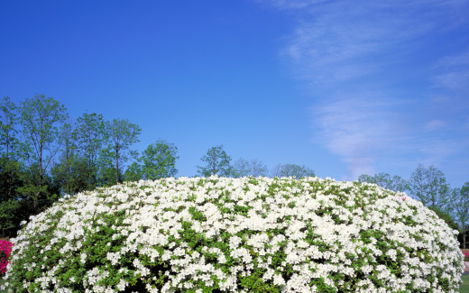 475664 (a): :1440x900